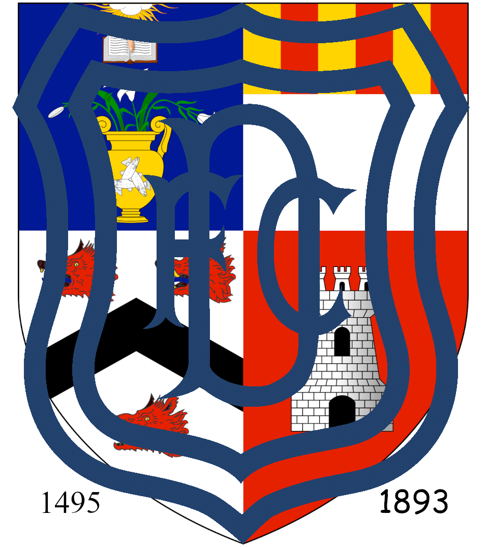 Logo of Dundee Football Club Society